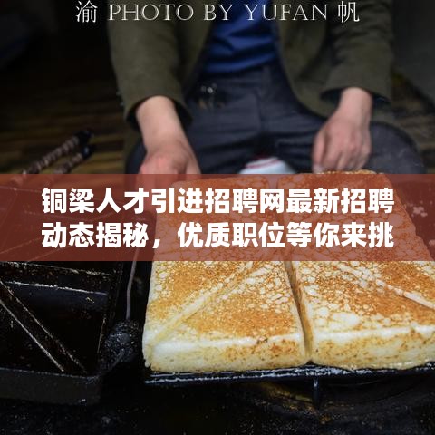 铜梁人才引进招聘网最新招聘动态揭秘，优质职位等你来挑！