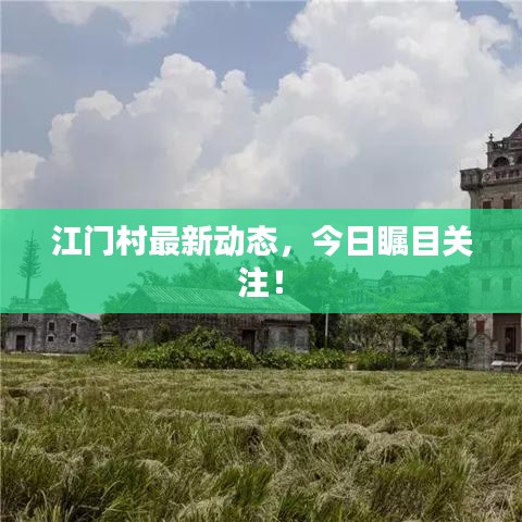 江门村最新动态，今日瞩目关注！