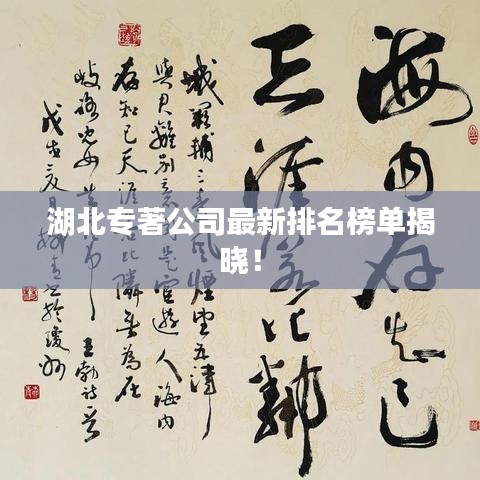 湖北专著公司最新排名榜单揭晓！