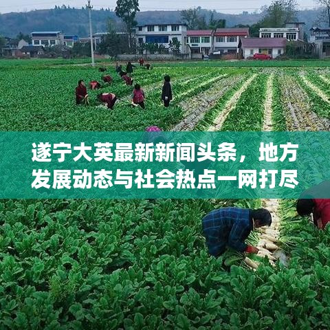 遂宁大英最新新闻头条,地方发展动态与社会热点一网打尽
