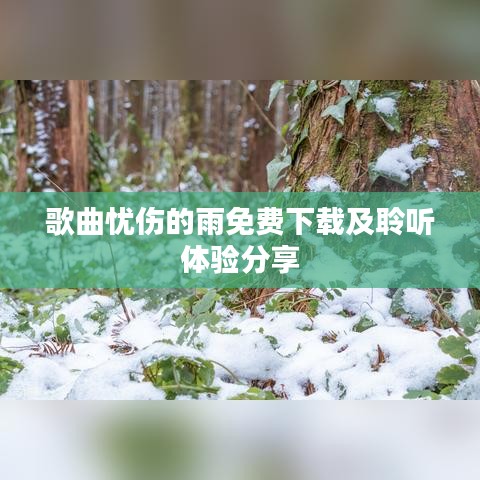 歌曲忧伤的雨免费下载及聆听体验分享