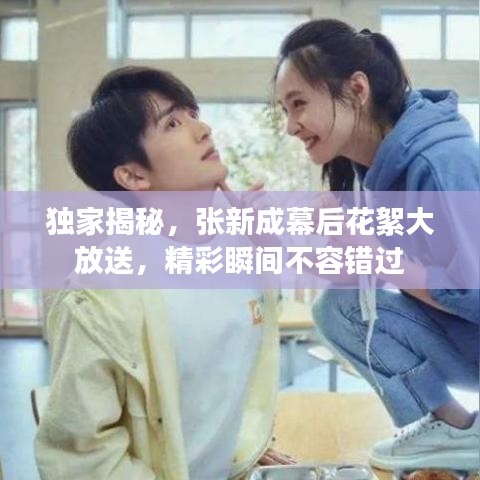 独家揭秘,张新成幕后花絮大放送,精彩瞬间不容错过