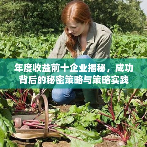 年度收益前十企业揭秘,成功背后的秘密策略与策略实践