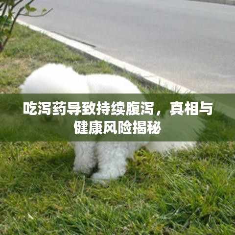 吃泻药导致持续腹泻,真相与健康风险揭秘