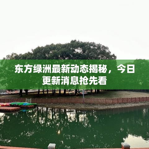东方绿洲最新动态揭秘,今日更新消息抢先看