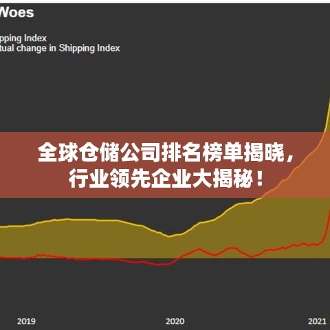全球仓储公司排名榜单揭晓，行业领先企业大揭秘！