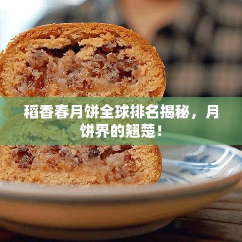 稻香春月饼全球排名揭秘，月饼界的翘楚！