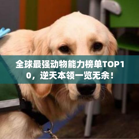 全球最强动物能力榜单TOP10,逆天本领一览无余!