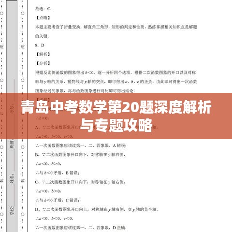 青岛中考数学第20题深度解析与专题攻略