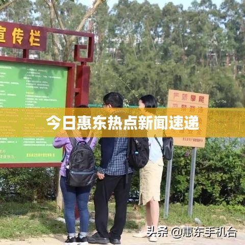今日惠东热点新闻速递