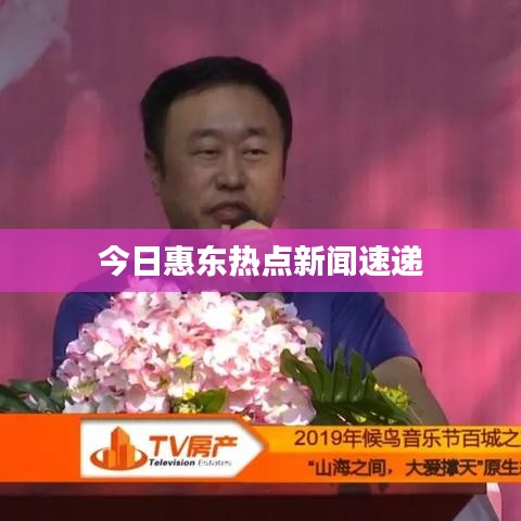 今日惠东热点新闻速递