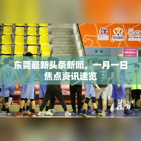 东莞最新头条新闻，一月一日焦点资讯速览