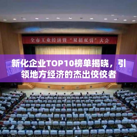 新化企业TOP10榜单揭晓,引领地方经济的杰出佼佼者