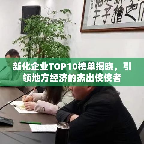 新化企业TOP10榜单揭晓,引领地方经济的杰出佼佼者