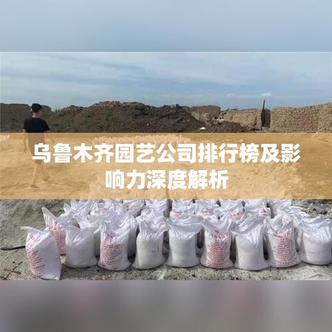 乌鲁木齐园艺公司排行榜及影响力深度解析