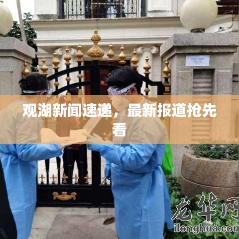 观湖新闻速递,最新报道抢先看