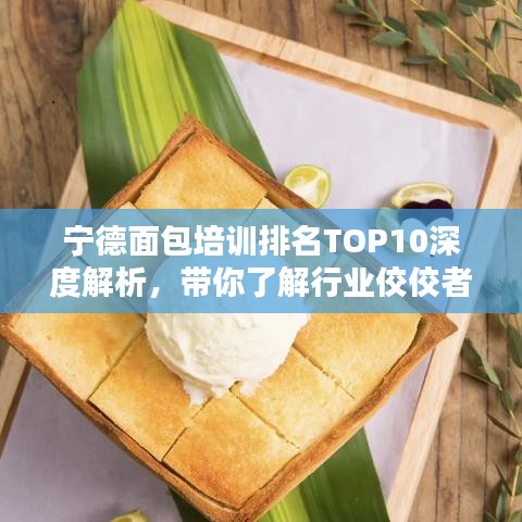宁德面包培训排名TOP10深度解析,带你了解行业佼佼者