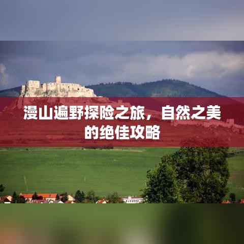 漫山遍野探险之旅,自然之美的绝佳攻略