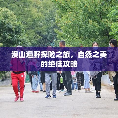 漫山遍野探险之旅,自然之美的绝佳攻略