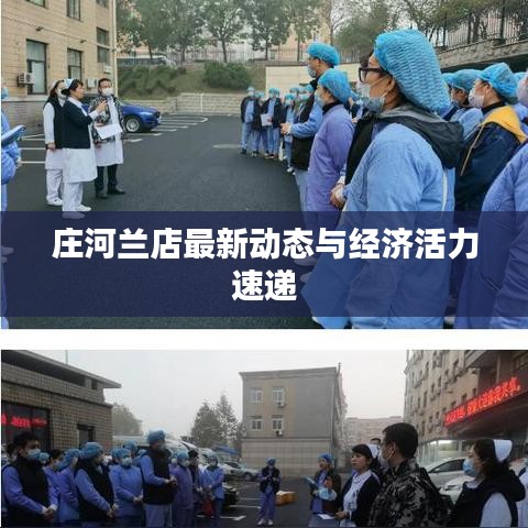 庄河兰店最新动态与经济活力速递
