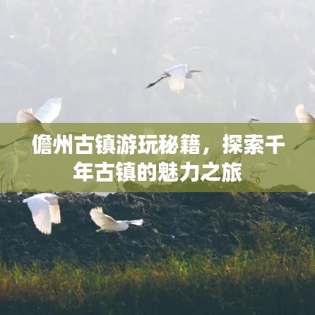 儋州古镇游玩秘籍,探索千年古镇的魅力之旅