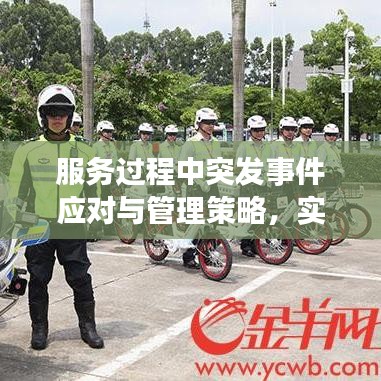 服务过程中突发事件应对与管理策略,实战指南