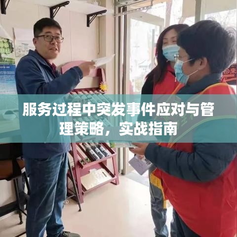 服务过程中突发事件应对与管理策略,实战指南