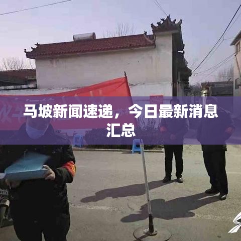 马坡新闻速递,今日最新消息汇总