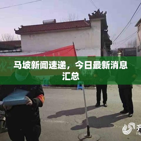 马坡新闻速递,今日最新消息汇总