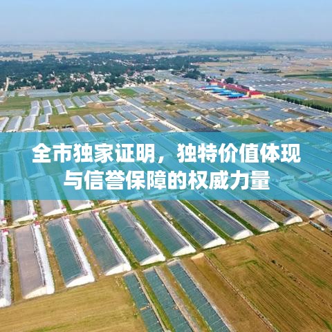 全市独家证明,独特价值体现与信誉保障的权威力量