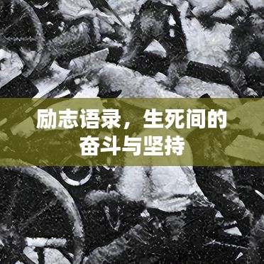 励志语录,生死间的奋斗与坚持