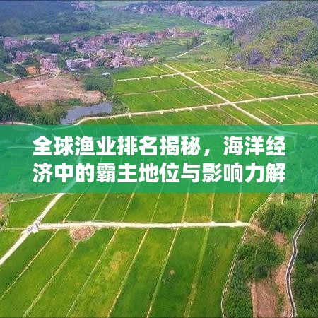 全球渔业排名揭秘，海洋经济中的霸主地位与影响力解析