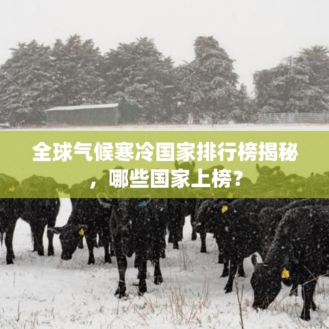 全球气候寒冷国家排行榜揭秘，哪些国家上榜？
