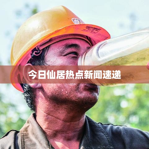 今日仙居热点新闻速递