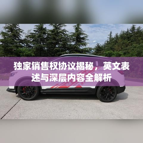 独家销售权协议揭秘,英文表述与深层内容全解析