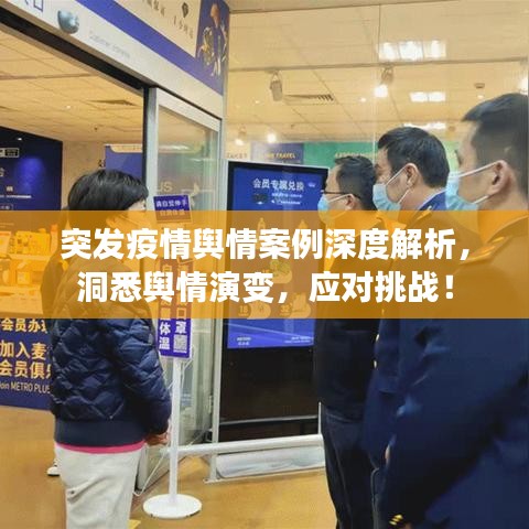 突发疫情舆情案例深度解析,洞悉舆情演变,应对挑战!
