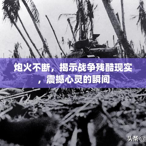 炮火不断，揭示战争残酷现实，震撼心灵的瞬间