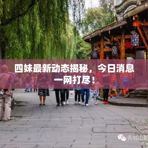 四妹最新动态揭秘,今日消息一网打尽!