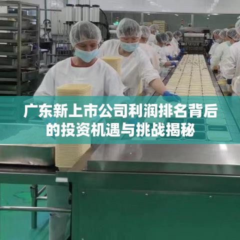 广东新上市公司利润排名背后的投资机遇与挑战揭秘