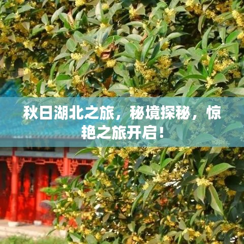 秋日湖北之旅,秘境探秘,惊艳之旅开启!