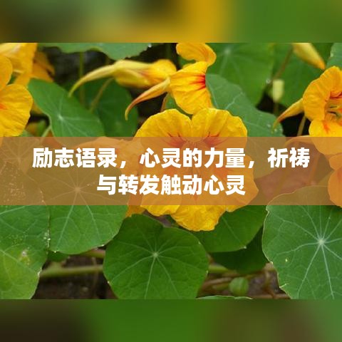 励志语录,心灵的力量,祈祷与转发触动心灵