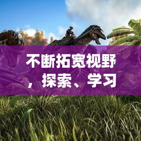 不断拓宽视野，探索、学习与成长的旅程