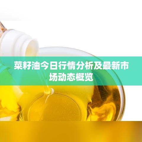 菜籽油今日行情分析及最新市场动态概览