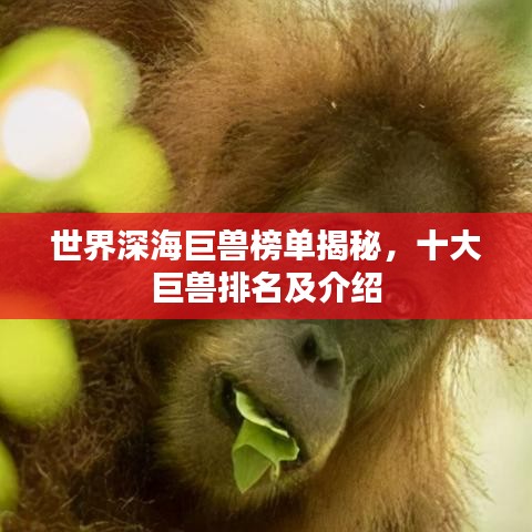 世界深海巨兽榜单揭秘，十大巨兽排名及介绍