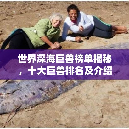 世界深海巨兽榜单揭秘,十大巨兽排名及介绍