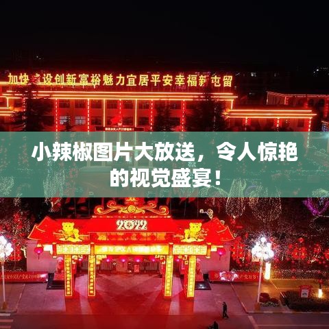 小辣椒图片大放送,令人惊艳的视觉盛宴!