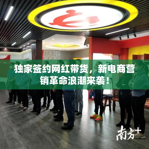 独家签约网红带货，新电商营销革命浪潮来袭！