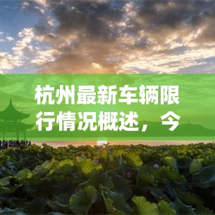 杭州最新车辆限行情况概述,今日是否限行?