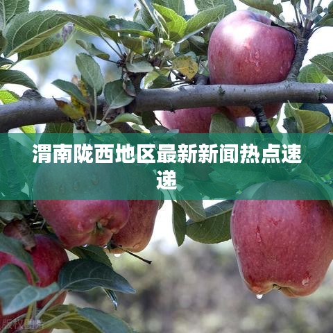 渭南陇西地区最新新闻热点速递