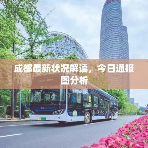 成都最新状况解读，今日通报图分析